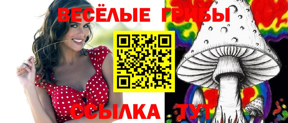 Псилоцибиновые грибы Magic Shrooms  магазин  наркотиков  Люберцы  Галлюциногенные грибы Magic Shrooms  Вход с VPN 